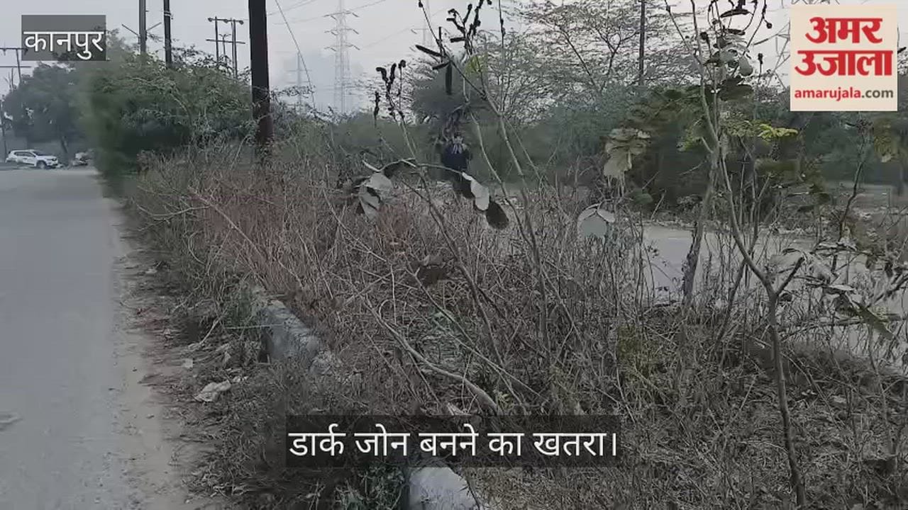 कानपुर: आवास विकास-तीन के ग्रीन बेल्ट में पौधों का अस्तित्व खत्म; झाड़ियों के साम्राज्य ने ढका विकास