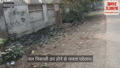 कानपुर: स्वराज नगर में सफाई के दावों की खुली पोल, महीनों से नहीं साफ हुआ नाला, झाड़ियों के बीच फंसी गंदगी
