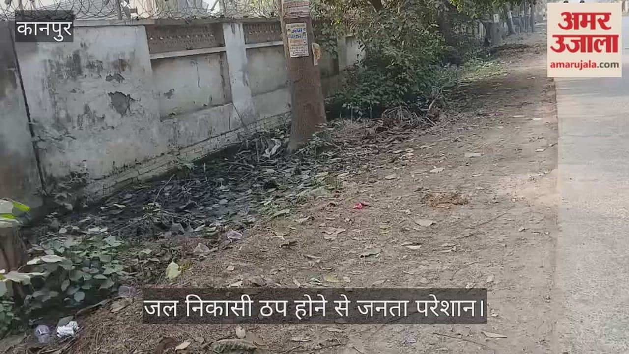 कानपुर: स्वराज नगर में सफाई के दावों की खुली पोल, महीनों से नहीं साफ हुआ नाला, झाड़ियों के बीच फंसी गंदगी