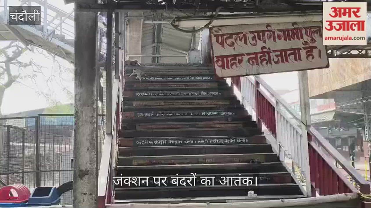 railway sent letters to three departments ten time over five years but monkeys never caught in chandauli