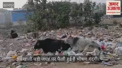 कानपुर: अंबेडकरपुरम नर्सरी की ओर जाने वाली सड़क पर भीषण गंदगी व कूड़े का अंबार