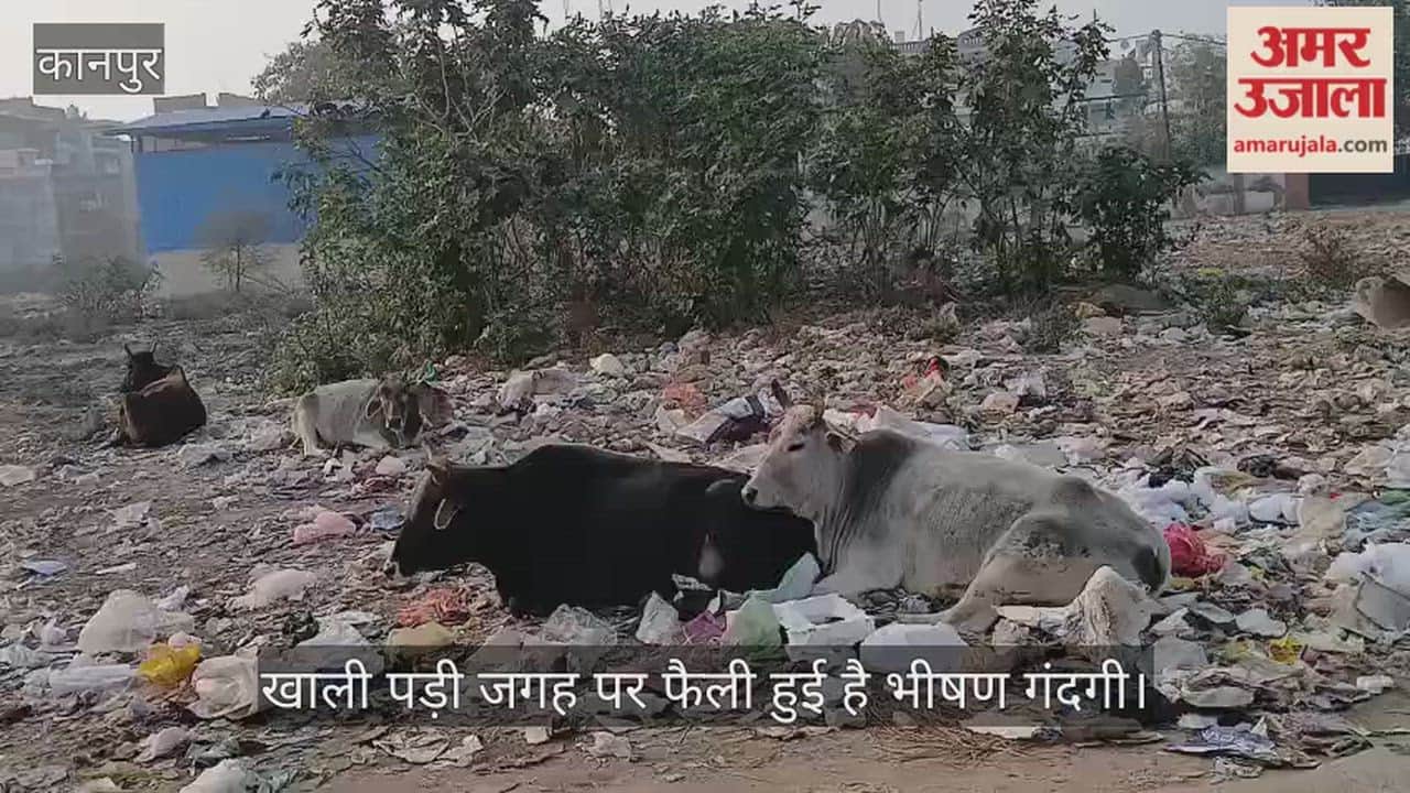 कानपुर: अंबेडकरपुरम नर्सरी की ओर जाने वाली सड़क पर भीषण गंदगी व कूड़े का अंबार