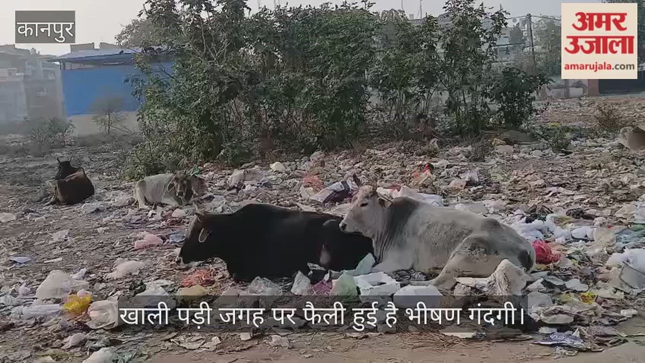 कानपुर: अंबेडकरपुरम नर्सरी की ओर जाने वाली सड़क पर भीषण गंदगी व कूड़े का अंबार