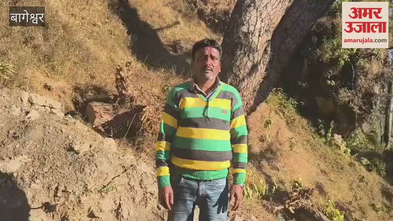 Seven goats found alive after six days, one carcass recovered