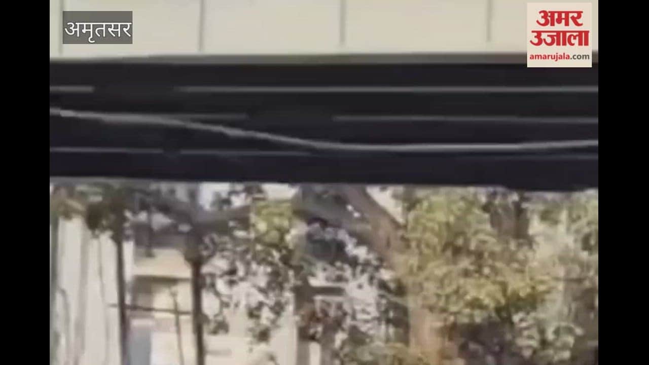 A young man jumped from a bridge in Amritsar and has been admitted to the hospital.