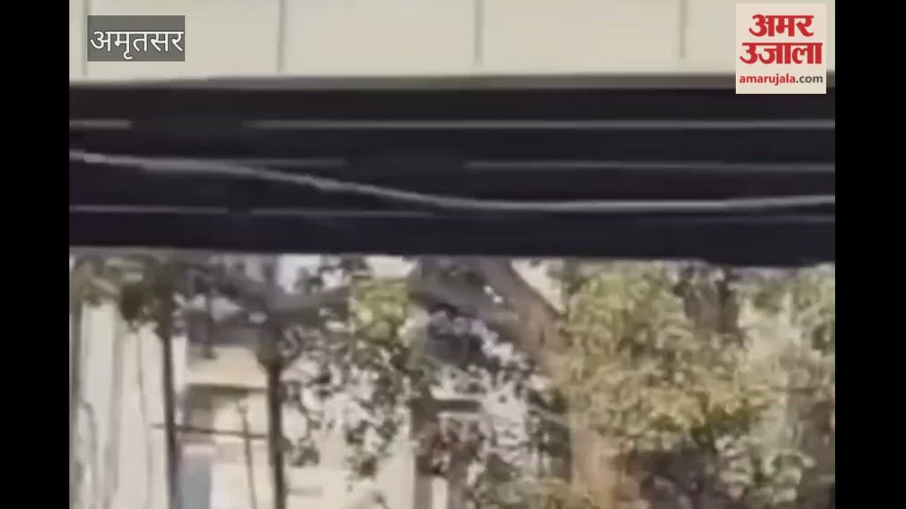 A young man jumped from a bridge in Amritsar and has been admitted to the hospital.