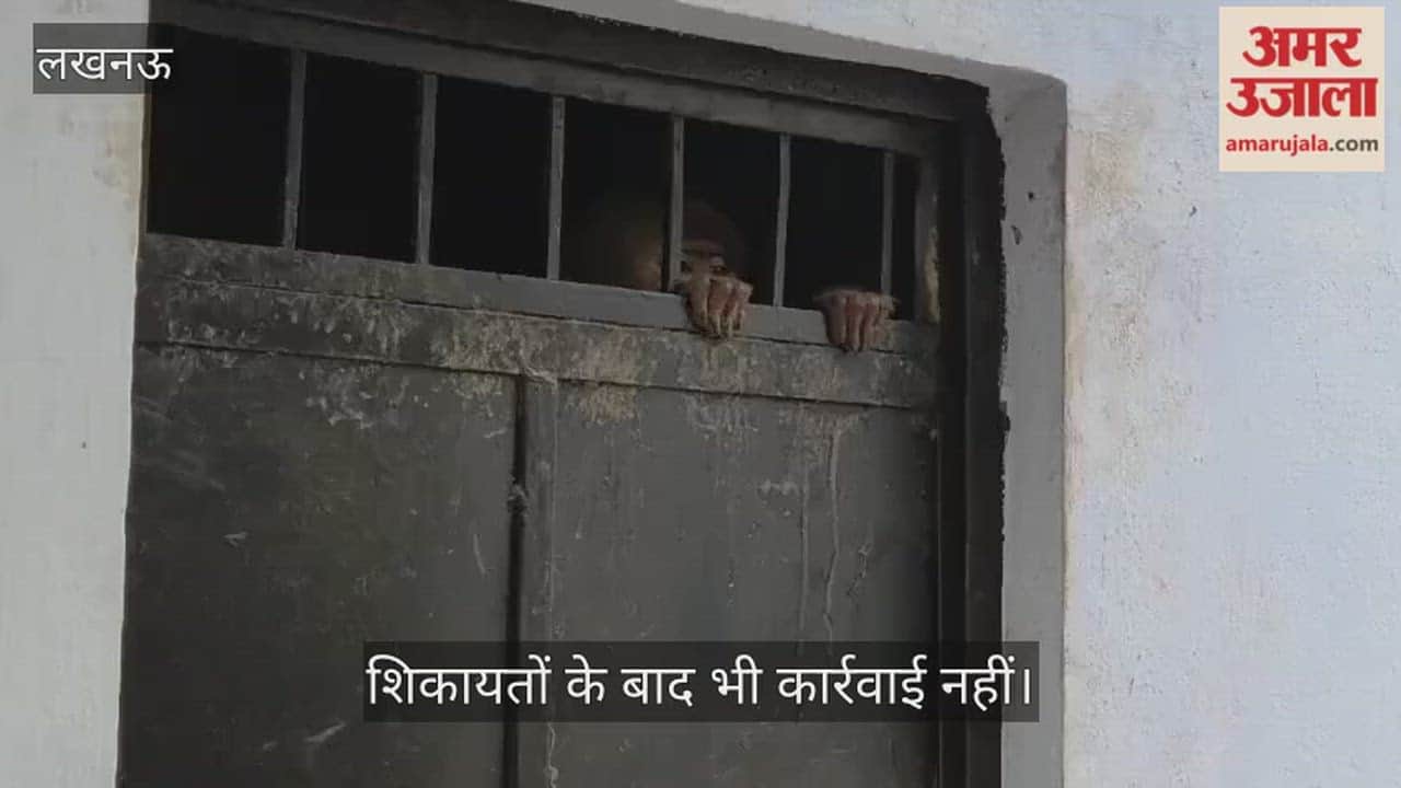 VIDEO: बंदर के आतंक से दहशत में ग्रामीण, शिकायतों के बाद भी कार्रवाई नहीं, ग्रामीणों ने शौचालय में किया कैद