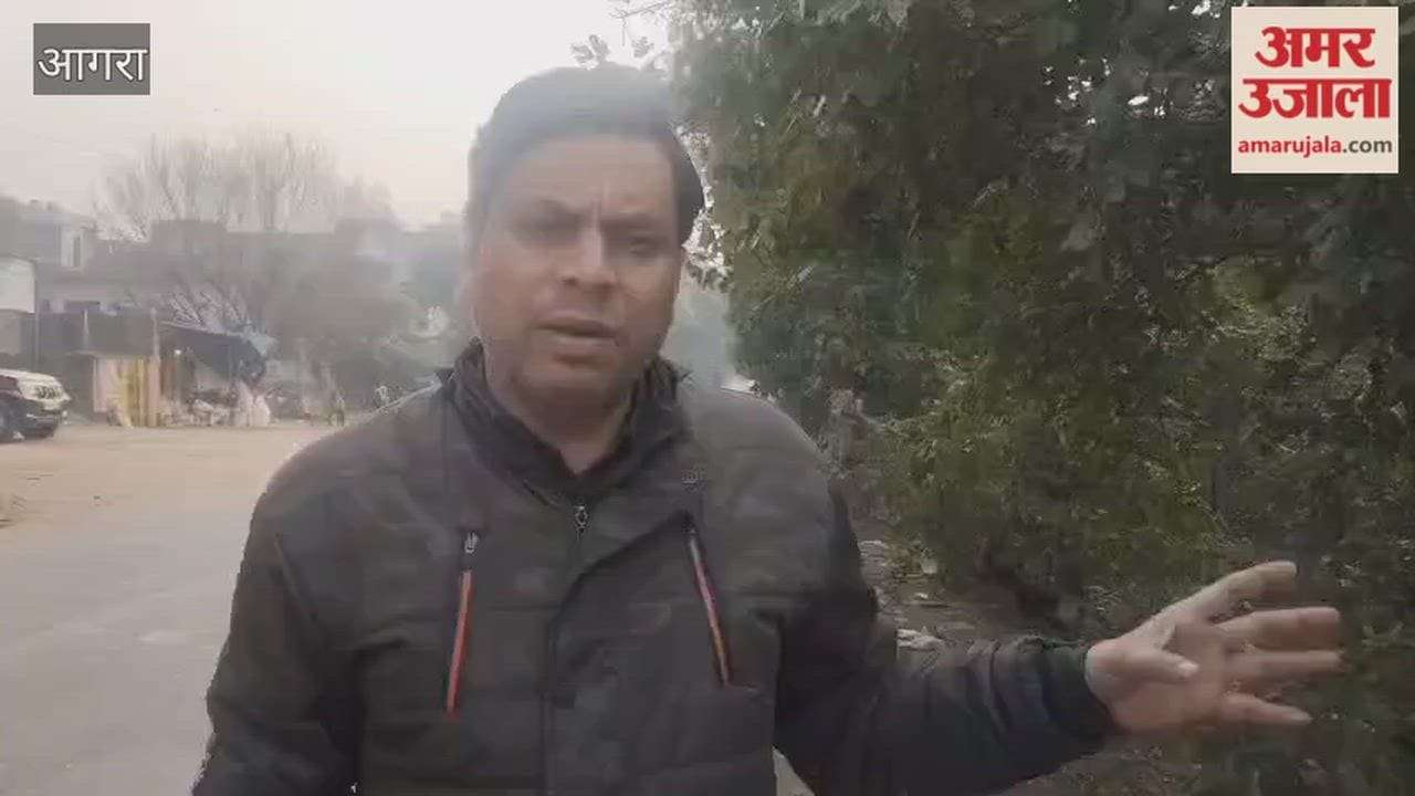 Five people died in road accident in Agra