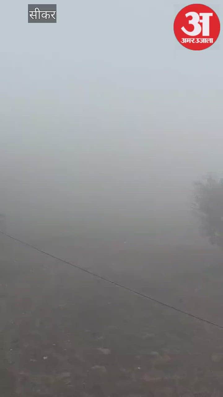 Sikar News: Dense fog blankets Shekhawati, visibility below 50 metres, drivers urged to remain cautious