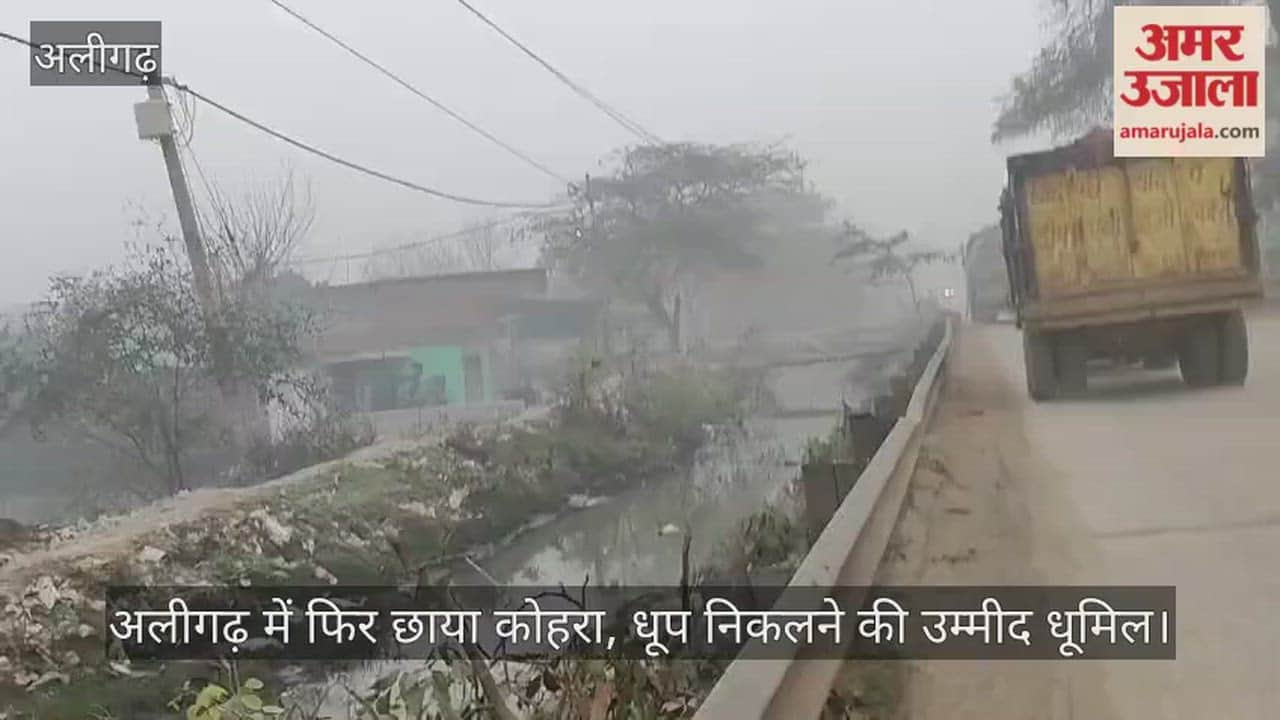 अलीगढ़ में फिर छाया कोहरा, धूप निकलने की उम्मीद धूमिल