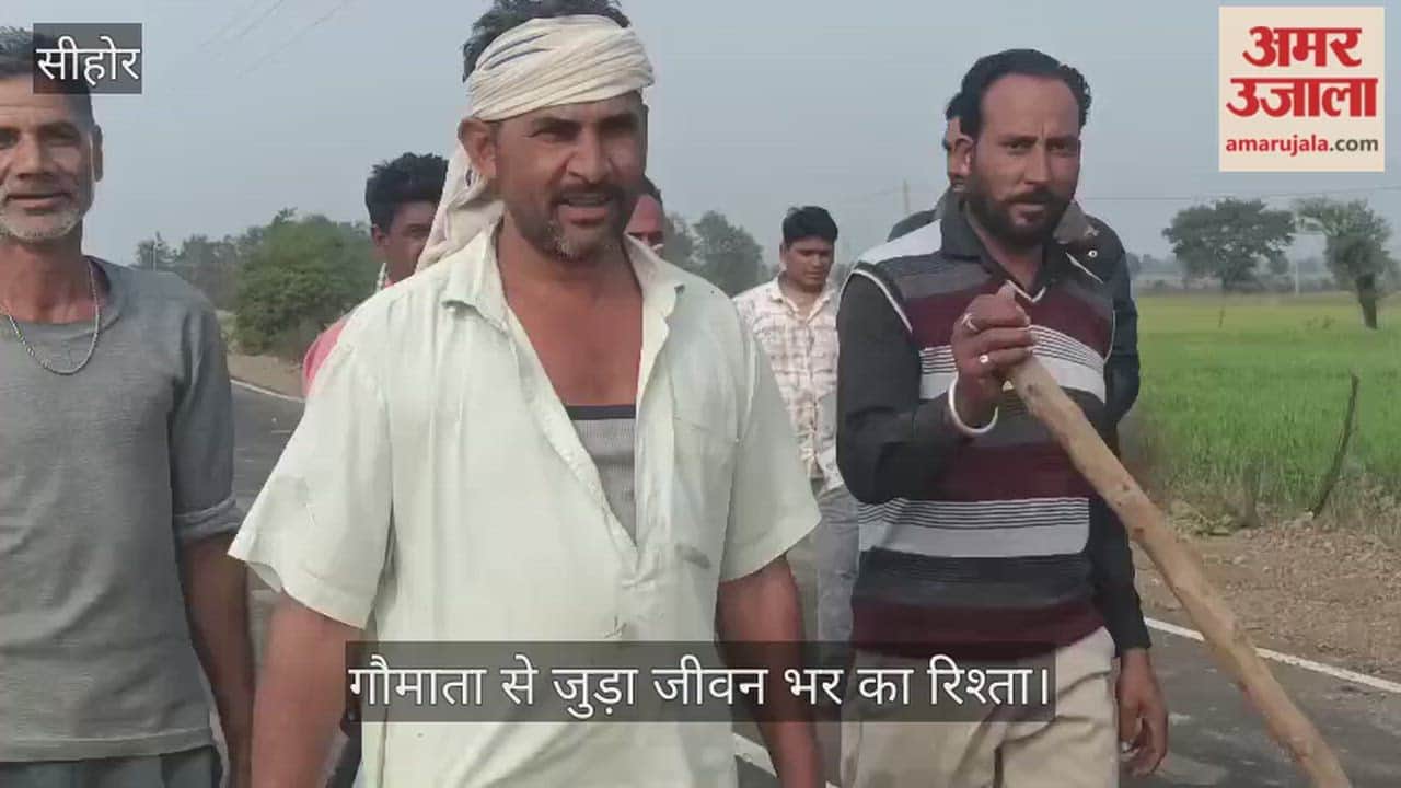 Sehore News: Farmer gives cow a final farewell with the respect given to a family member.