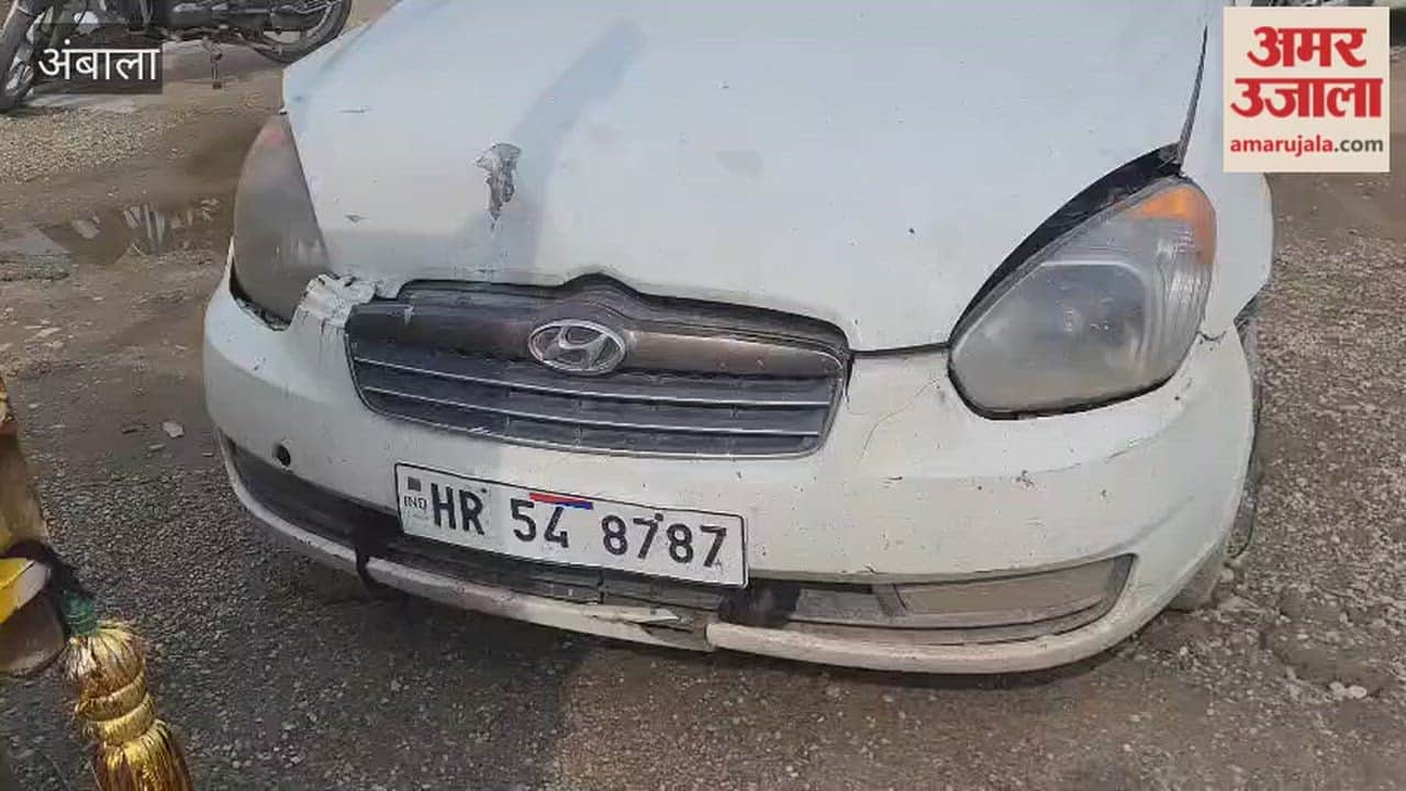 Attempt to crush policemen with car at checkpoint
