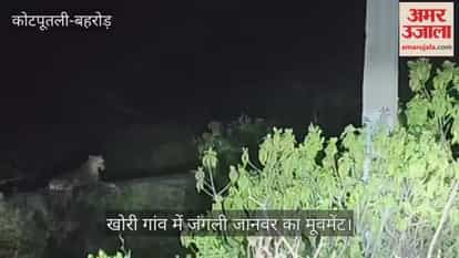 Kotputli-Behror News: Wild animal spotted again in residential area, fear grips villagers