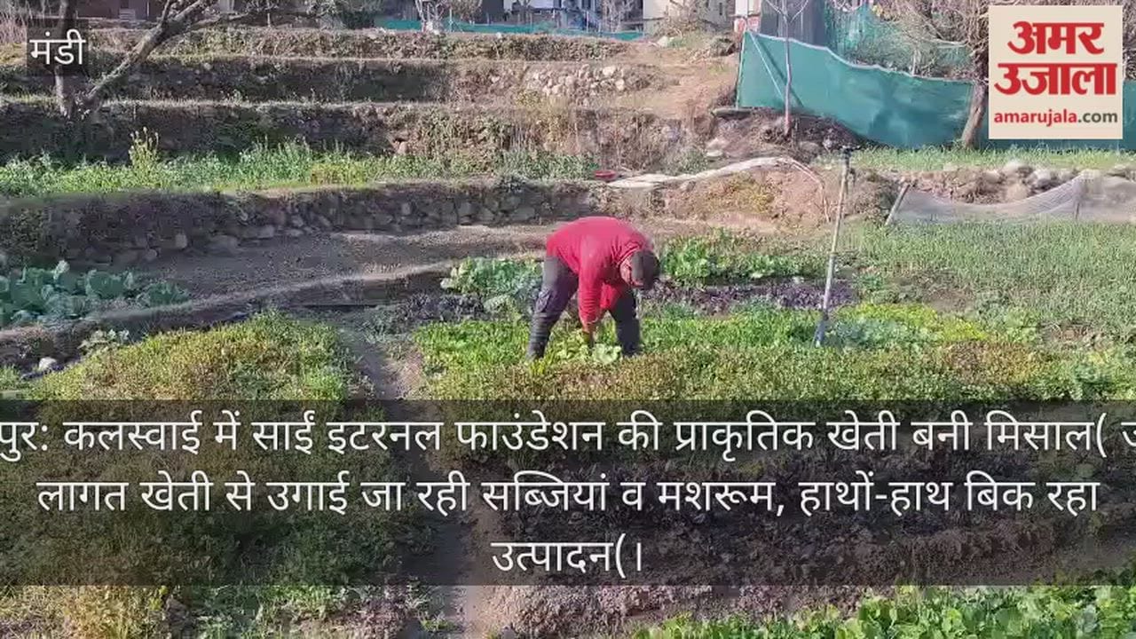 The natural farming initiative of Sai Eternal Foundation in Kalaswai has become a role model.