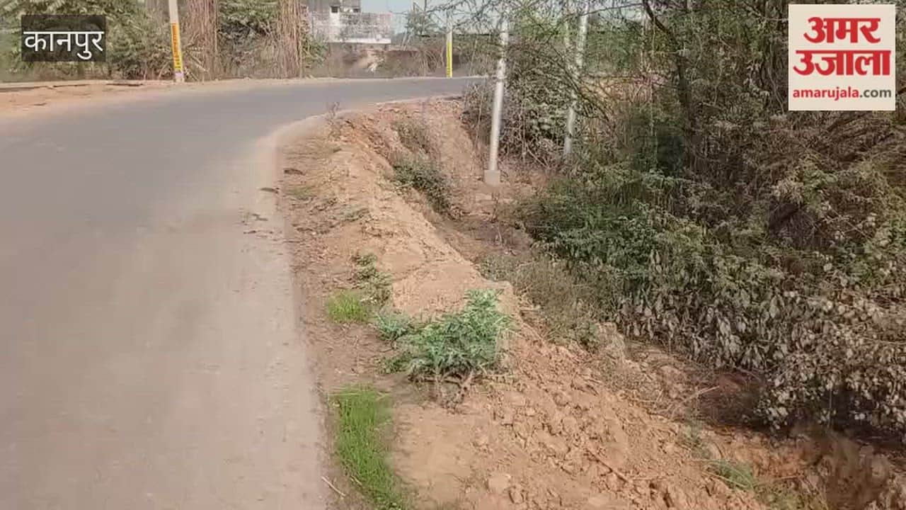 A mere one-foot-wide unpaved footpath along a road costing millions