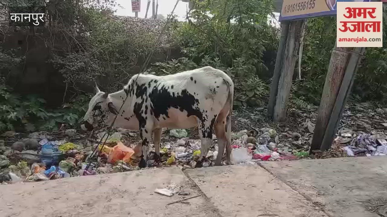 Kanpur: Filth spread in front of the government school