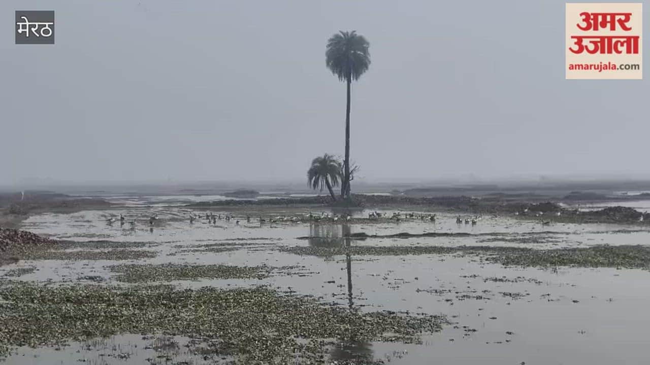 On World Wetlands Day, Children Observe Migratory Birds at Bhimkund Wetland, Turtle Hatchlings Released in Ganga