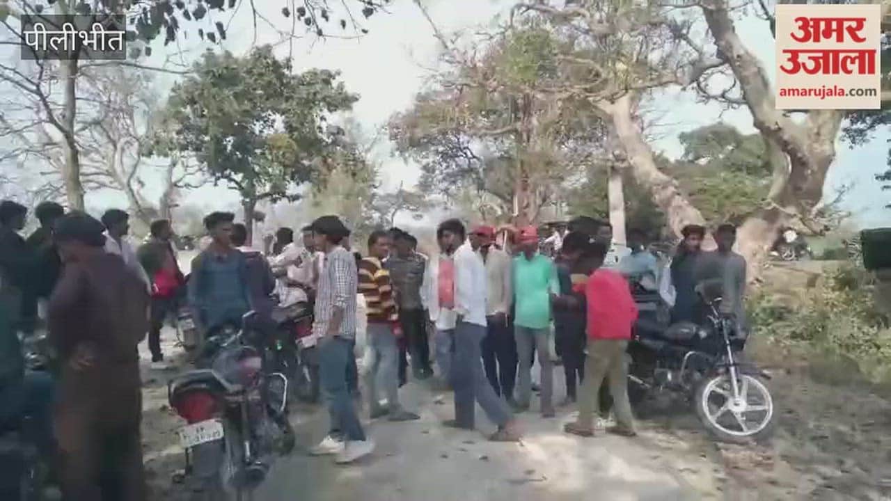 tiger attacked a villager in Pilibhit