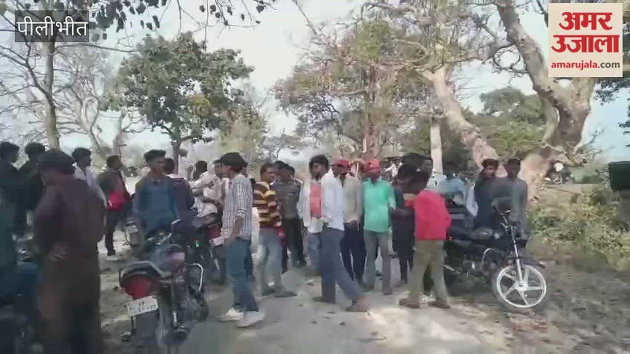 tiger attacked a villager in Pilibhit