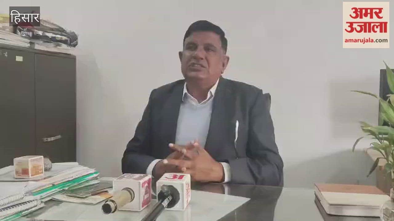 Nutrient deficiencies in wheat