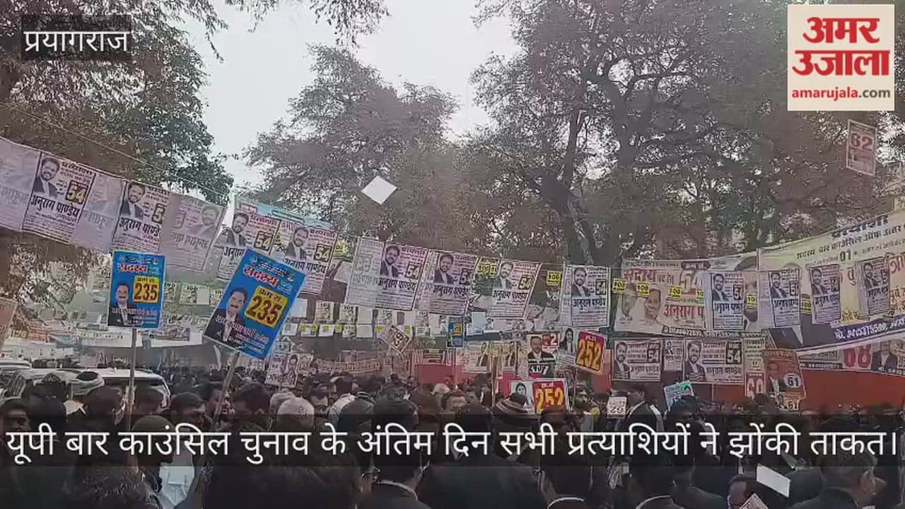 All the candidates put in their best efforts on the last day of UP Bar Council elections.