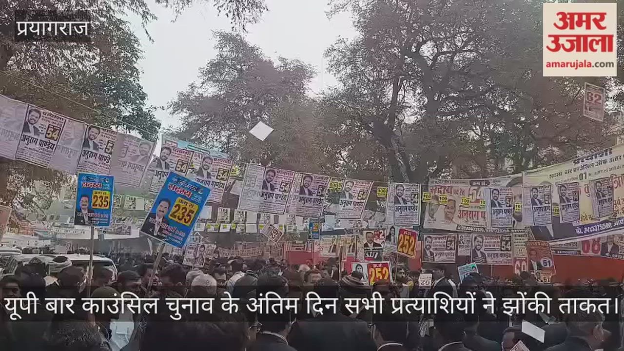 All the candidates put in their best efforts on the last day of UP Bar Council elections.