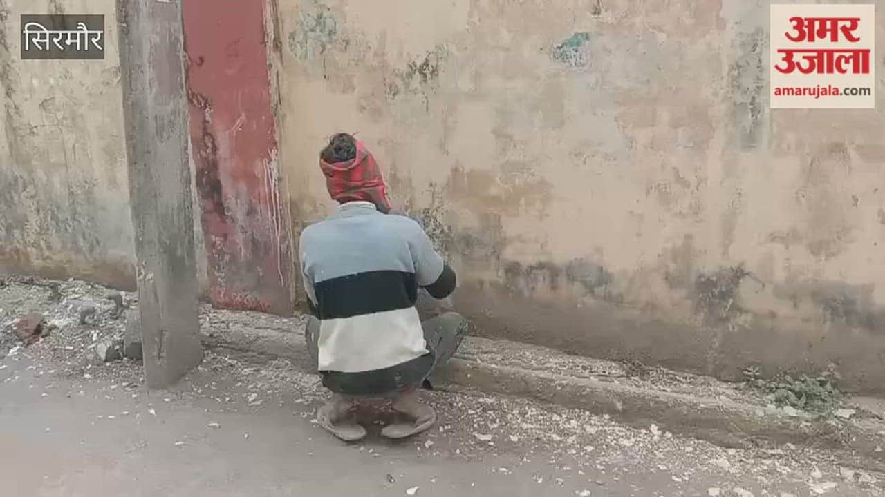 Sirmour Painting and renovation work has begun at Ranital Park in preparation for the Shivratri festival