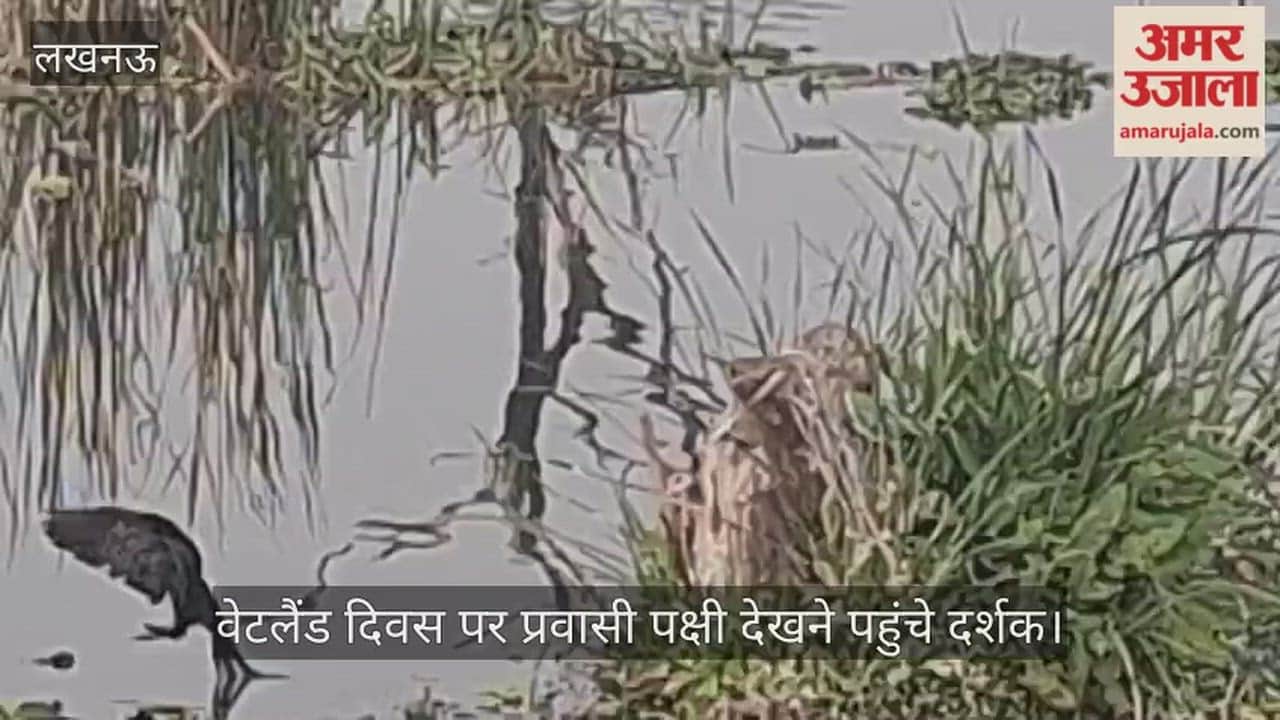 वेटलैंड दिवस: लखनऊ- सुल्तानपुर रोड सीजी सिटी स्थित वेटलैंड में लोग प्रवासी पक्षियों को देखने पहुंच रहे