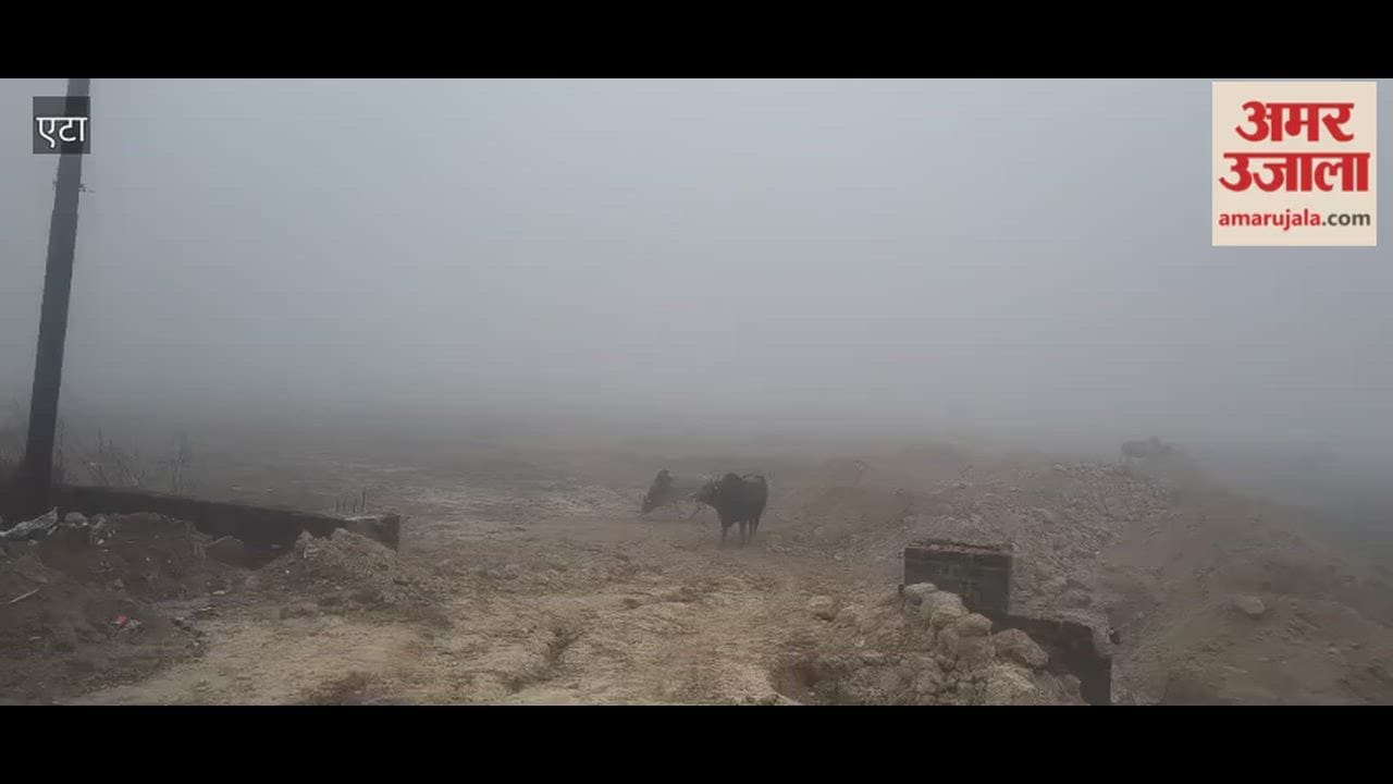 fog slowed down speed of vehicles