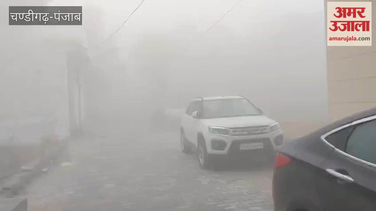 ebruary begins with dense fog in Ferozepur
