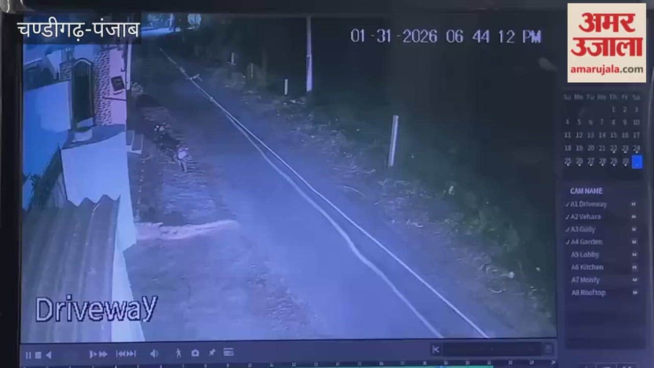 motorcyclist died after colliding with a trolley