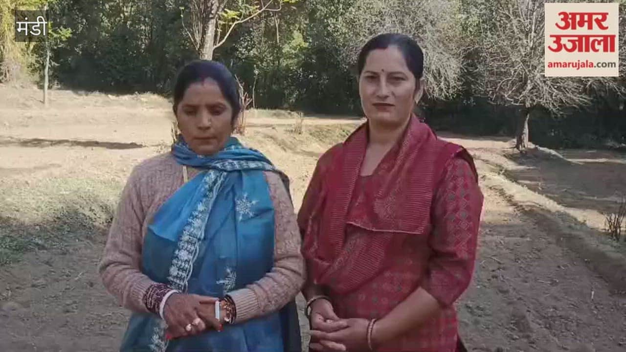 Mandi Ajay Kumar of Tikri Mushehra becomes an example of self-reliance through natural farming