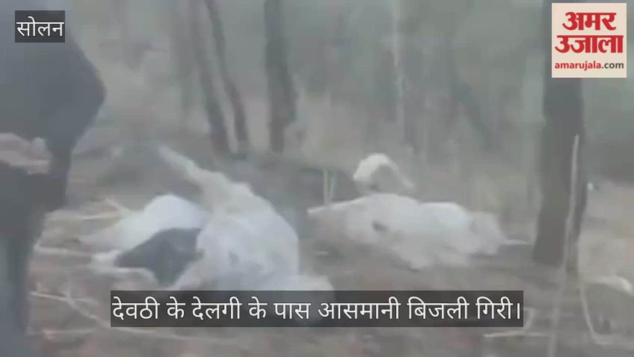 Solan Lightning strike causes havoc, killing over 59 sheep and goats