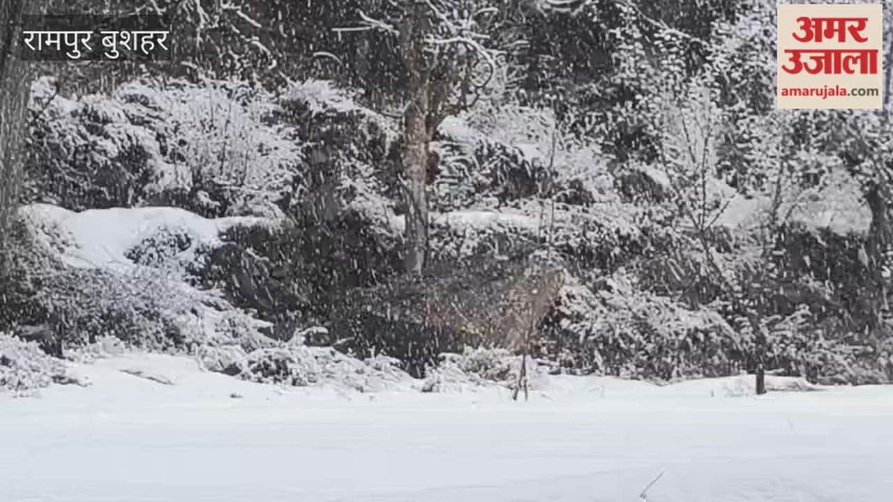 Rampur Bushahr Snowfall continues in Kinnaur Upper Shimla and Jalori Pass