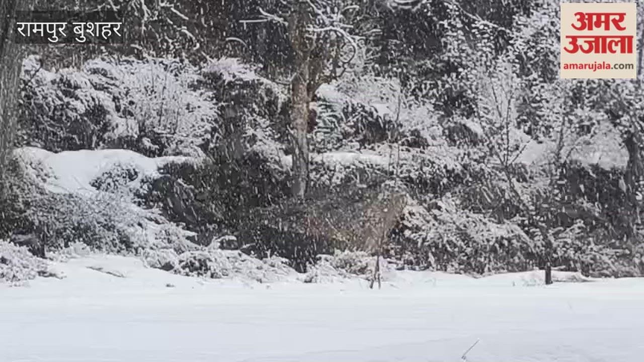 Rampur Bushahr Snowfall continues in Kinnaur Upper Shimla and Jalori Pass