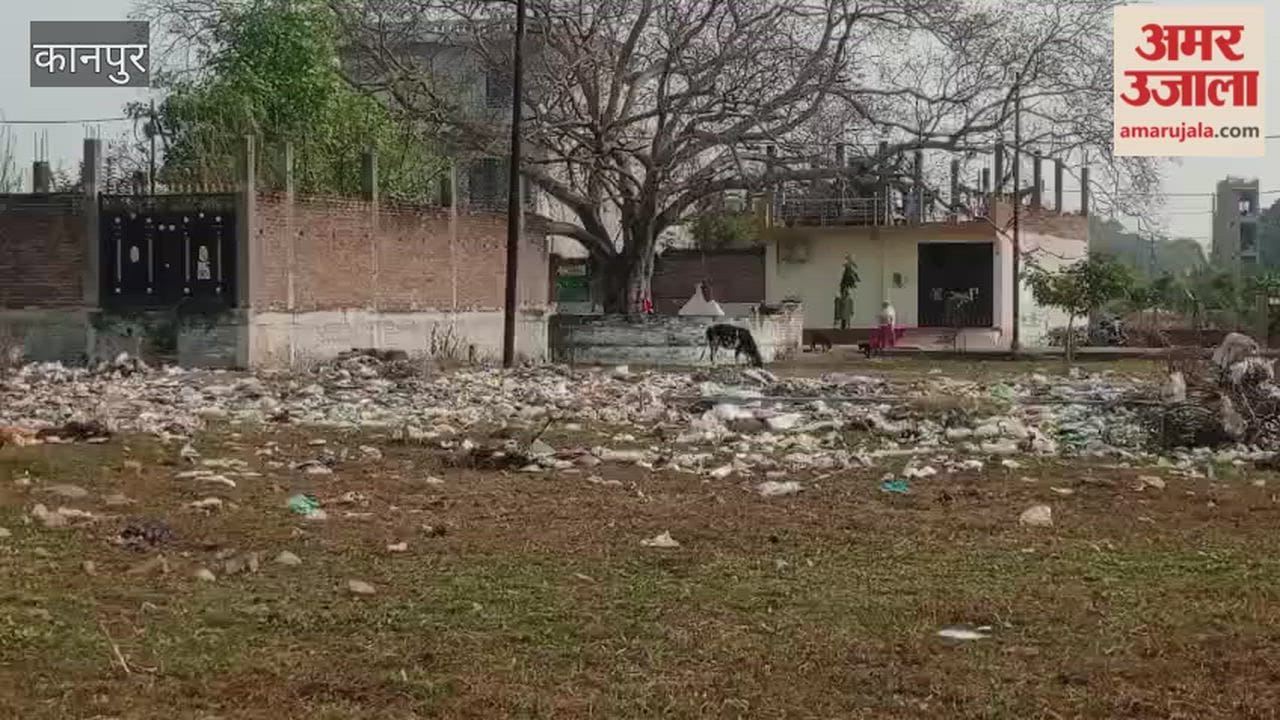 Kanpur: Residents of Panki Ratanpur Duda Colony are troubled by the dirt and foul smell