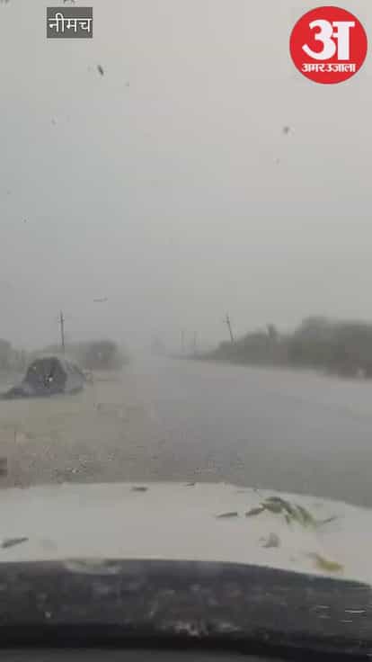Hailstorm and rain wreak havoc: Corn-sized hailstones fell in Neemuch, destroying poppy and wheat crops.