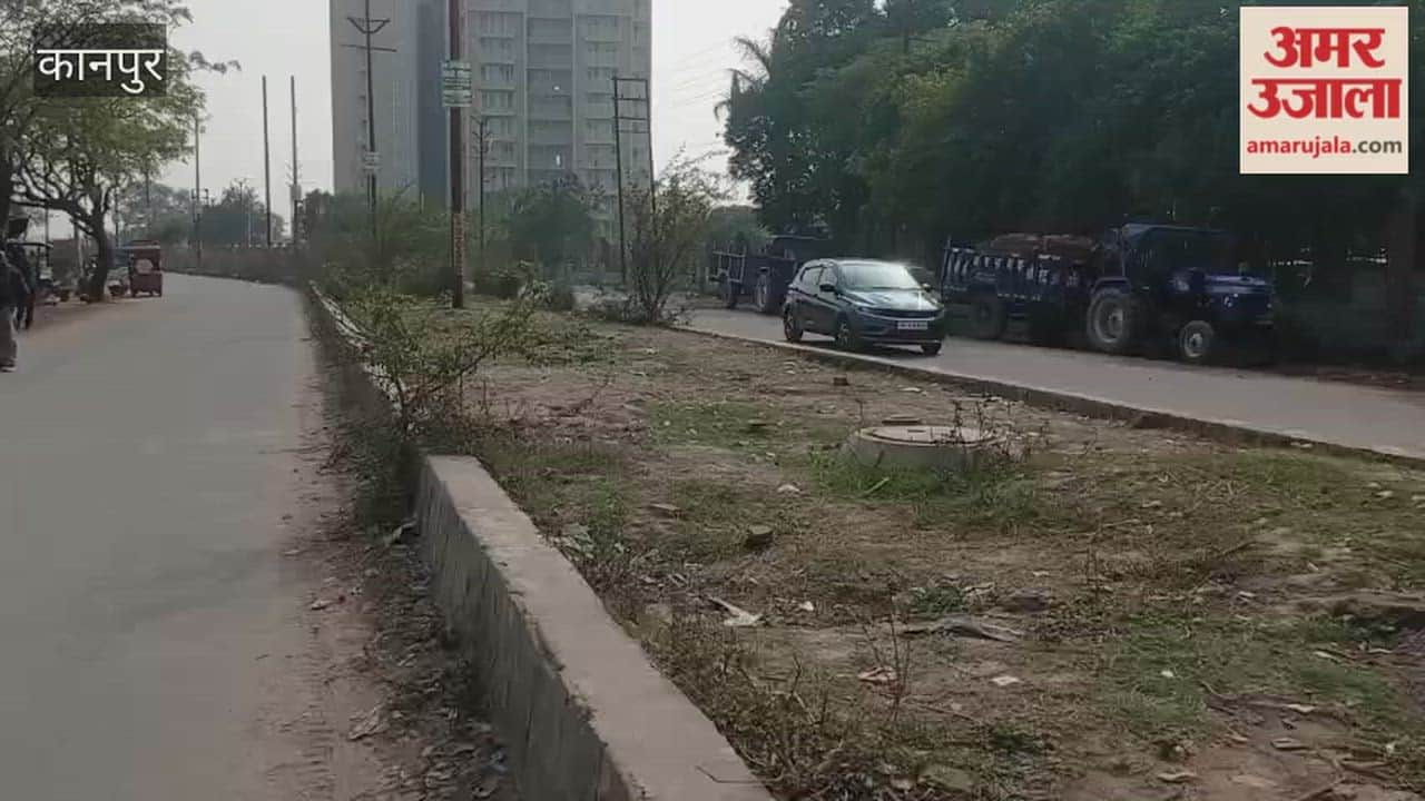 Kanpur: Thorny bushes have grown on the green belt along the Panki Eldeco road