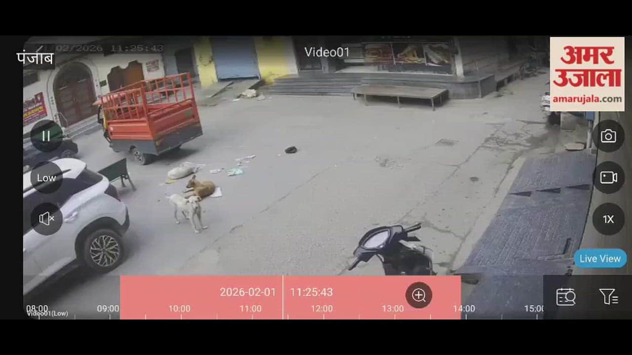 Activa stolen in broad daylight in Phagwara