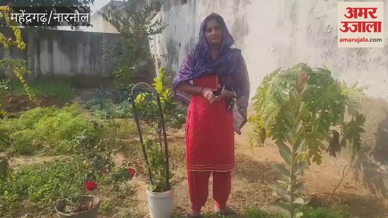 Munesh Devi is planting trees at home