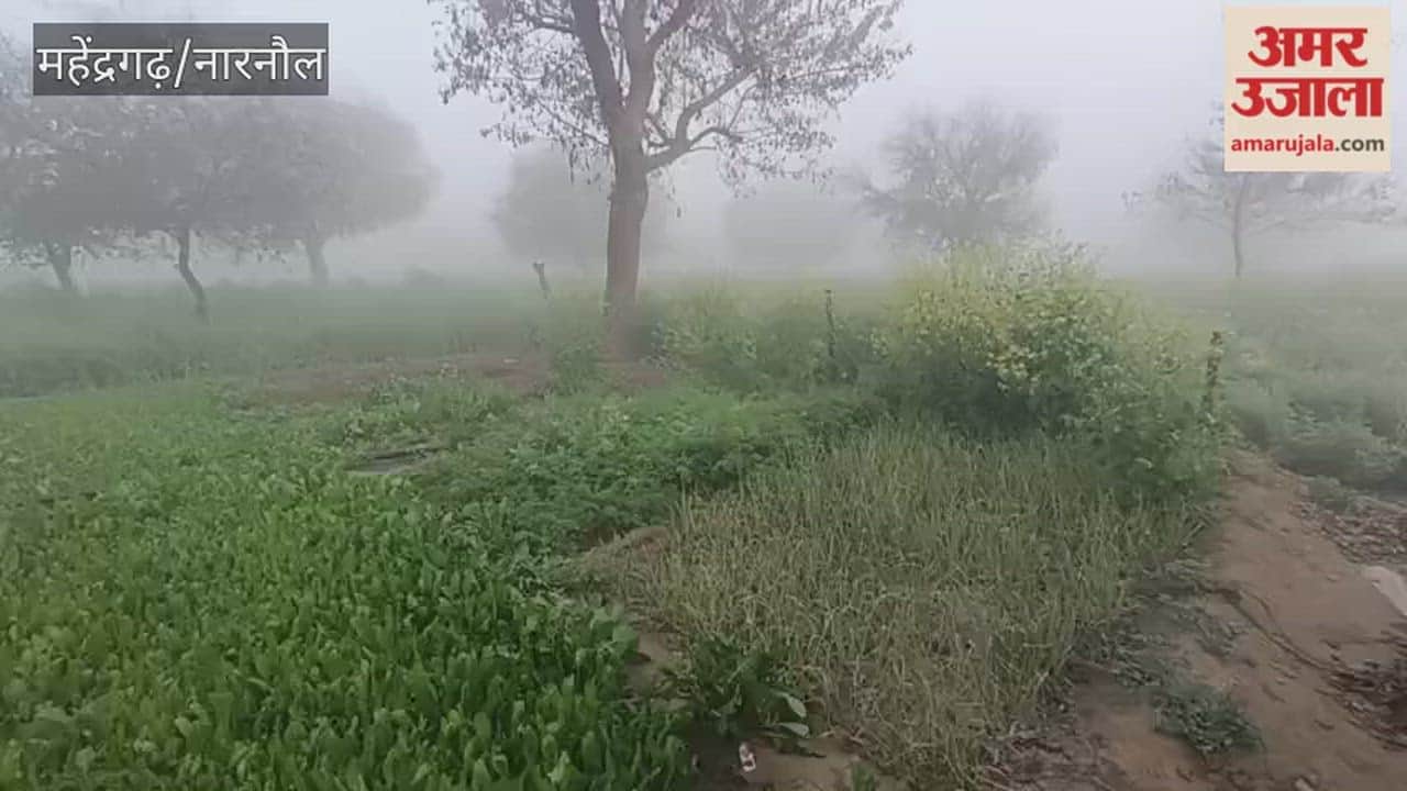Dense fog in Narnaul