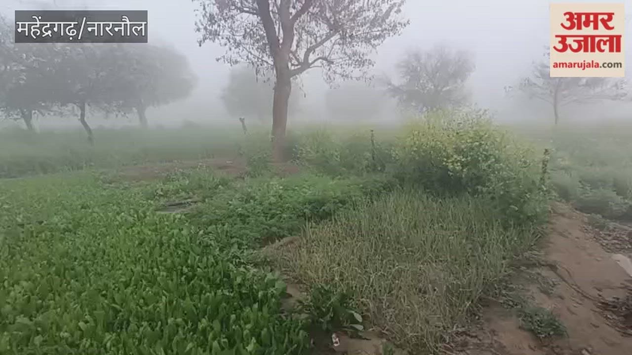 Dense fog in Narnaul