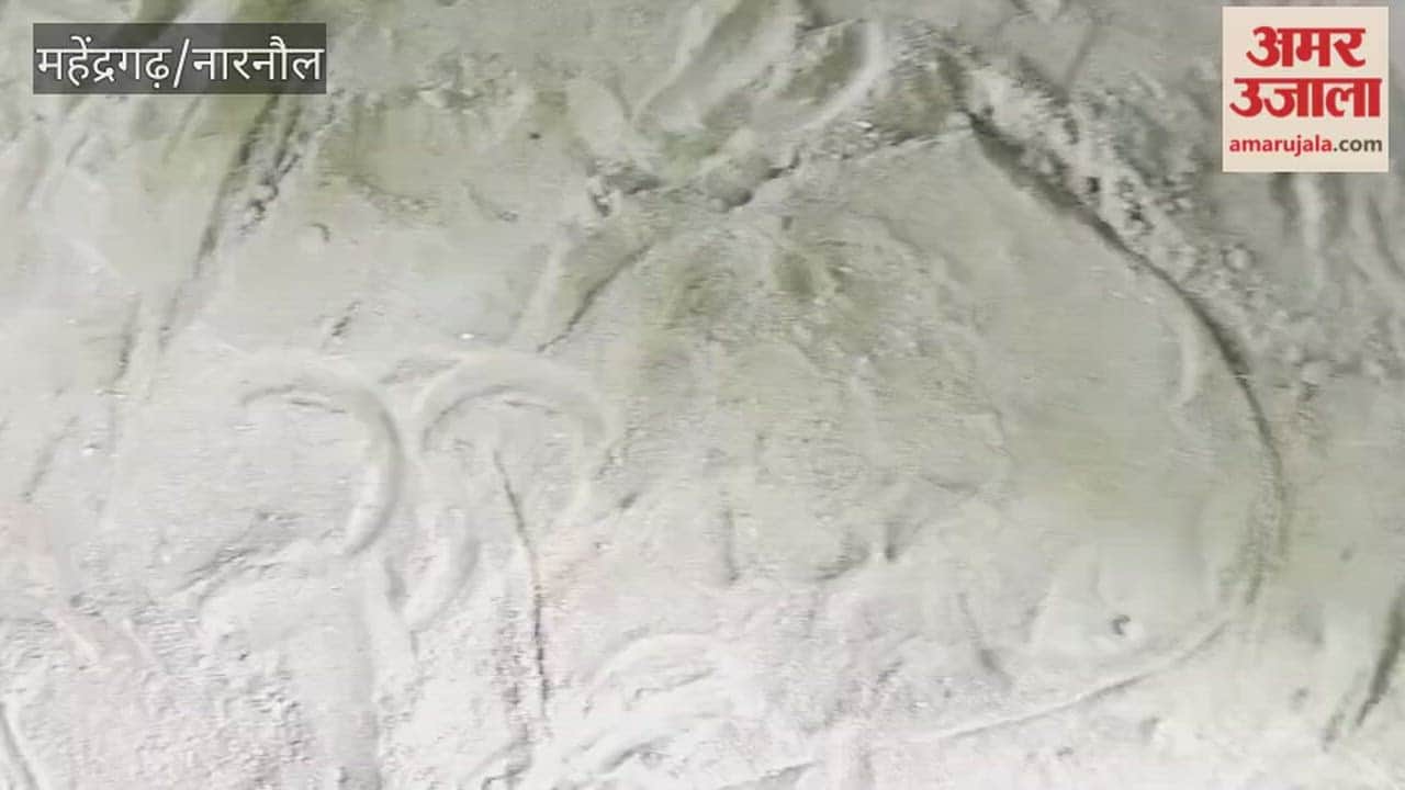 Leopard spotted in Datal village