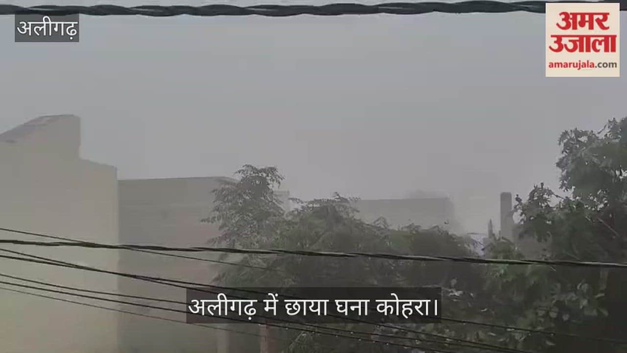 अलीगढ़ में छाया घना कोहरा