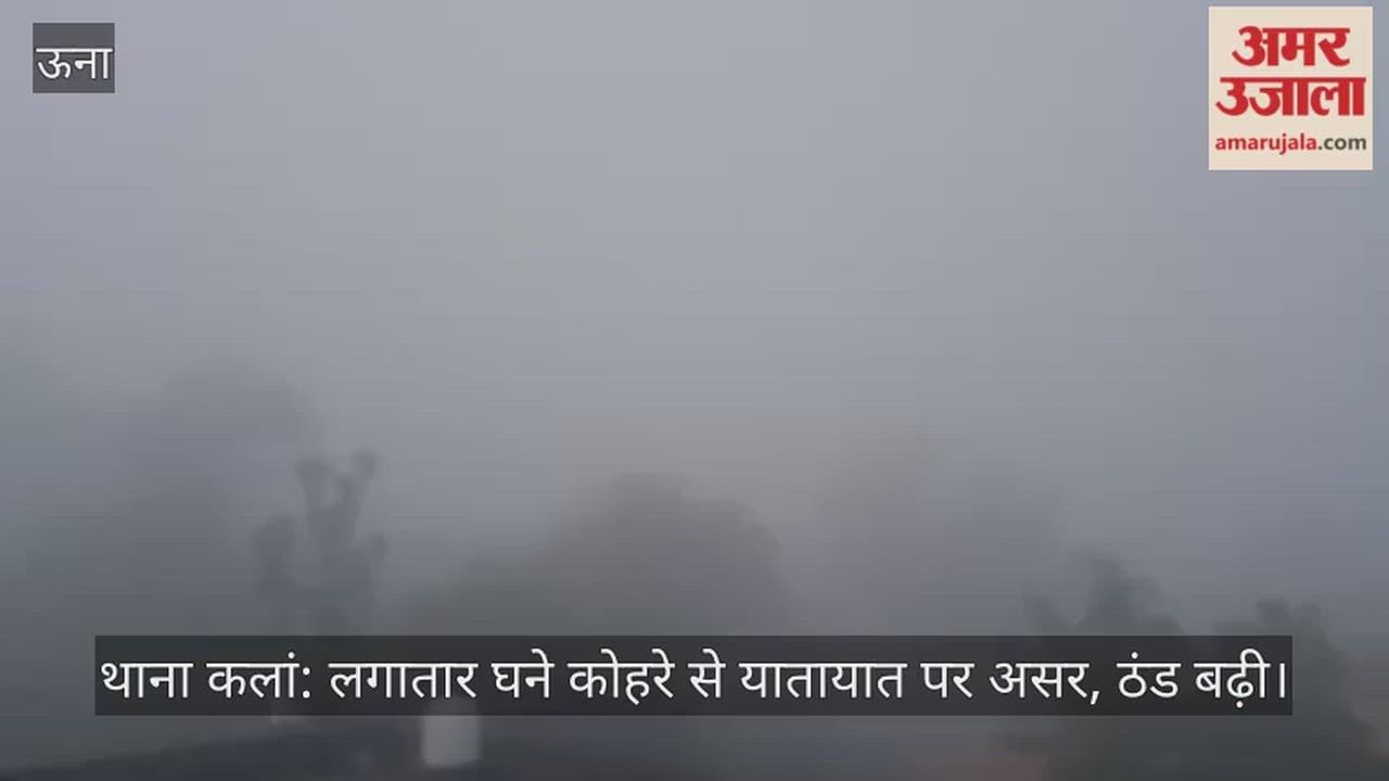 Thana Kalan: Continuous dense fog affects traffic, cold intensifies.