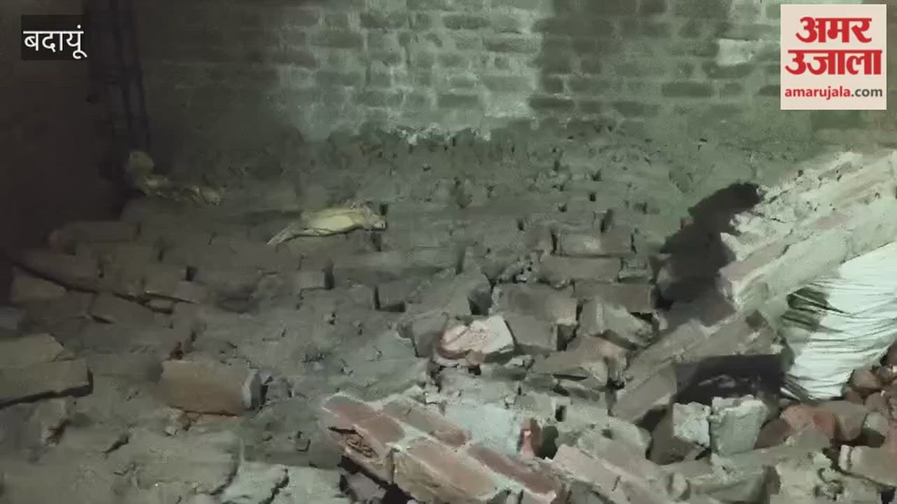 Mother-in-law dies and daughter-in-law is injured when a wall collapses in Budaun