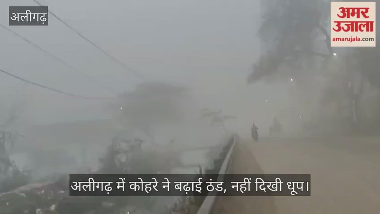 अलीगढ़ में कोहरे ने बढ़ाई ठंड, नहीं दिखी धूप