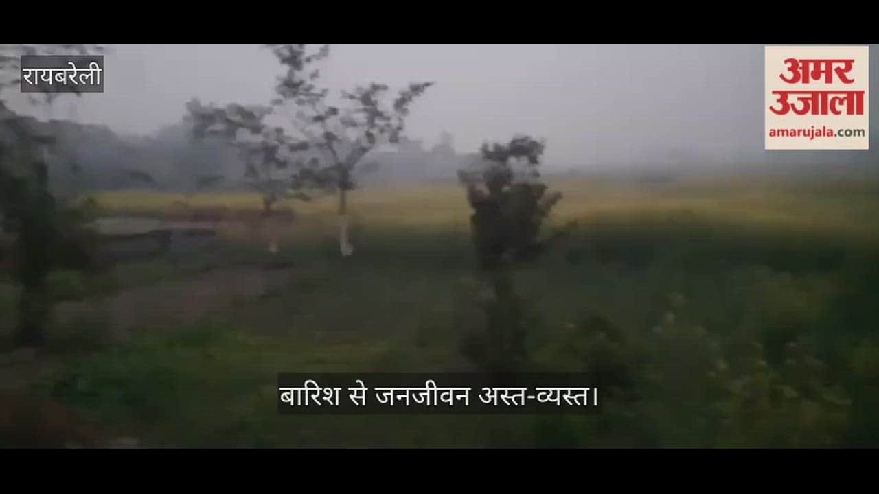 रायबरेली में मौसम ने ली करवट, जनजीवन अस्त-व्यस्त... गेहूं के लिए लाभदायक