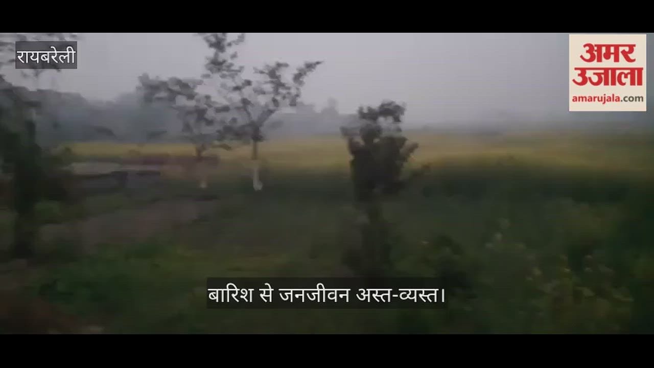 रायबरेली में मौसम ने ली करवट, जनजीवन अस्त-व्यस्त... गेहूं के लिए लाभदायक