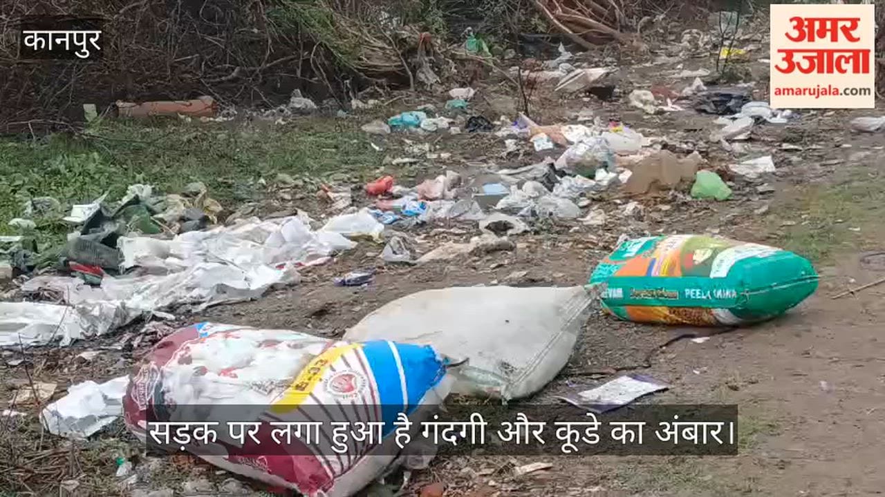 कानपुर: पनकी विस्तार योजना वाली सड़क गंदगी व कूड़े से पटी, राहगीरों को करना पड़ रहा है परेशानी का सामना